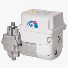 MOTOR CJ BV TSI FIT 1/3HP 1,37M P60 2TX - F02824-GCT  GAREN