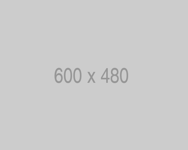 Banner 2